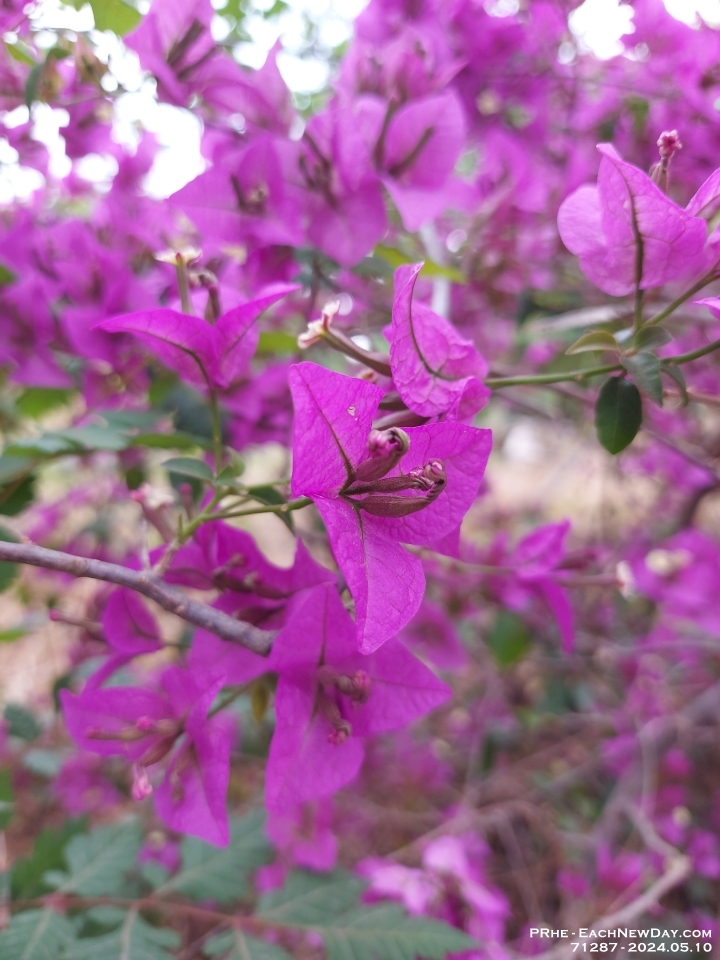 71287 - Footsteps of Paul - A walk to the Pedion tou Areos